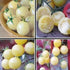 SeedsUA Seeds Cherry Tomato Snow White Heirloom Vegetable for Planting Non GMO