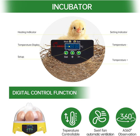 7-Egg 360 Mini Egg Incubator with View, Educational Hatching Kit for Kids, Classrooms & Families, Automatic Temperature
