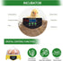 7-Egg 360 Mini Egg Incubator with View, Educational Hatching Kit for Kids, Classrooms & Families, Automatic Temperature