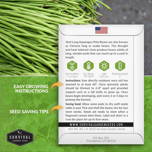 3 Packets Asparagus Yard Long Bean Seeds for Planting with Instructions to Grow Yardlong Pole Beans in Your Home
