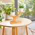 Stand,3 XXXFLOWER Wood Plant Stand for Indoor,Small Desktop Plant Tier Succulent Windowsill Shelf Holders for Balcony