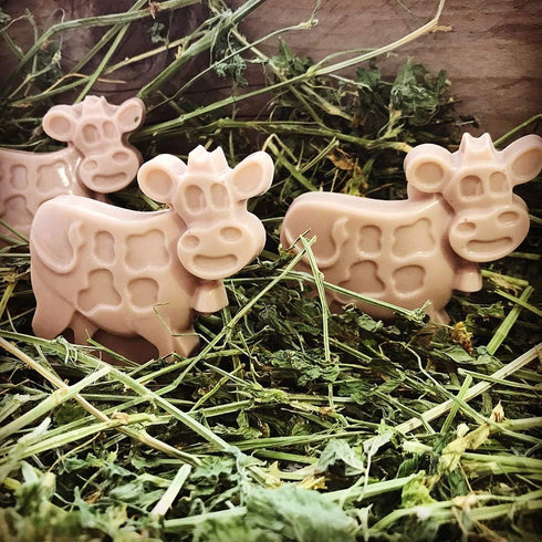 2 Pack Cow Chocolate Molds - Dairy Cattle Cake Pan Silicone Candy Fondant Baking Mold in Random Color