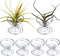 Shappy 6 Pieces Air Plant Holder Air Plant Live Holders Outdoor Stainless