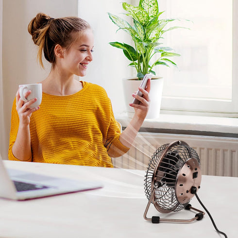 xasla 4 Inch Small USB Desk Fan, Mini Quiet Fan with Metal Construction, Strong Airflow, 360° Adjustable Tilt Angle