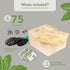 Pack 75 30,000 Garden Grow Your Own Kit - Varieties of Herb, Flower and Vegetable Seeds - Gardening Gifts for Men