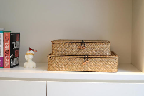 Set 2 DOKOT Flat Seagrass Storage Bins with Lid, Wicker Basket for Shelf Organize, of (Small+Large)