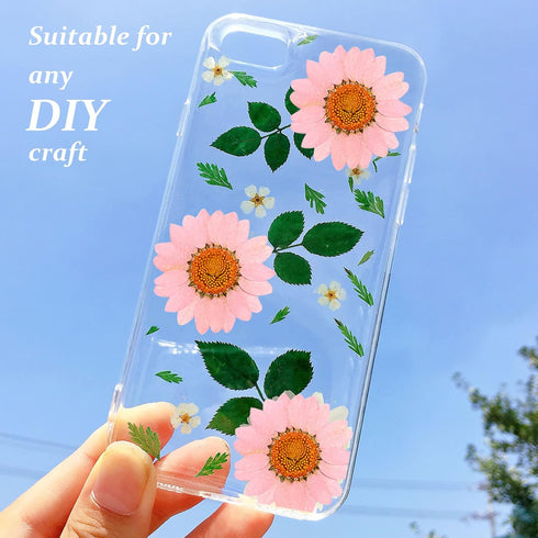 Dried Pressed Flowers, 60PCS Pink Natural Real Daisy for DIY Craft, Scrapbooking, Candle Making