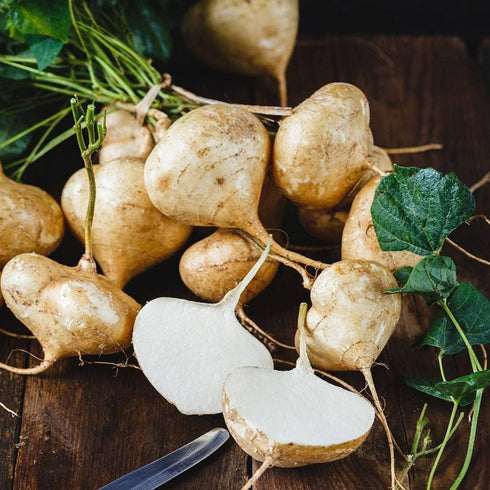 200+ Organic Sweet Jicama Seeds - Heirloom Variety for Home Gardens