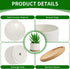 ZOUTOG Mini Succulent Pots, White 3.15 inch Ceramic Flower Planter Pot with Bamboo Tray, Pack of 6 - Plants Not Included