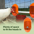 Labodey (5 Pack) Large Chicken Waterer Cups Automatic with Anti-Roosting Cover | Poultry Waterer Cups Suitable