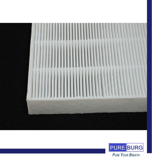 PUREBURG True HEPA Filter Set for AeraMax 300, Fellowes HF-300, AP300PH, HF300, AeraMax 290, 300 DX95