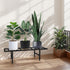 LLAXERGU 1-Tier Plant Stand Indoor Outdoor, Heavy Duty Iron Pedestal Stands Metal Plant Stand for Indoor Outdoor
