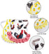 JITEYOU 4 Chicken Saddles, PCS Hens Saddles for Hen Apron for Poultry Protector Feather Fixer Supplies