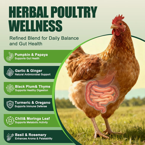 KLUORAN (1.3 LB) Natural Chicken De-wormer Powder | All-Natural Herbal Poultry Wormer for Laying Hens | Egg-Safe