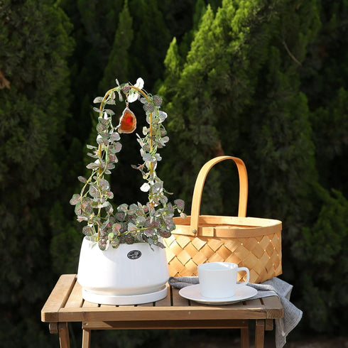 2PCS Small Plant Gold Trellis Indoor, Mini Metal Houseplant Decor Support for Potted Ivy Vine, Boho Garden Decorative