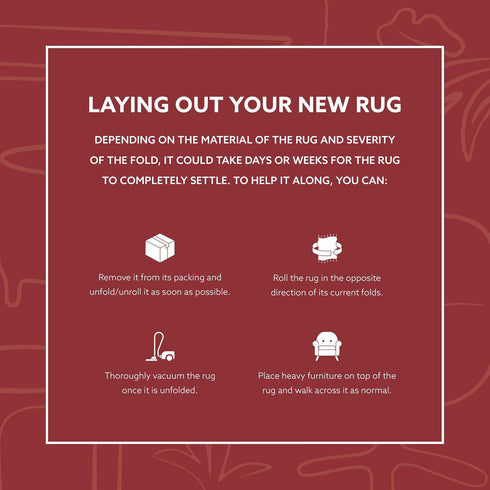 Linon Home Décor Plateau Moore Accent Rug, Ivory & Rust, 2' X 3'