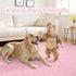 5x7 Area Rugs for Living Room Rug: Soft Fluffy Shag Light Pink Rugs for Bedroom, Non-Slip Large Fuzzy Plush Rug Indoor