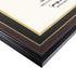 GraduatePro 8.5x11 Diploma Frame with Black Over Gold Mat, CPA License Frame, UV Protection Acrylic, Mahogany with Gold