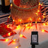 Dreamworth Plug in Red Chili String Lights, 33ft 100 LED Chili String Lights