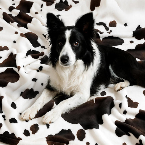 Cozy 108"*90" Bliss Cow Print Throw Blanket for Bed - Super Fuzzy Thick Soft Warm Fleece Blankets for Couch & Room