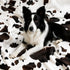 Cozy 108"*90" Bliss Cow Print Throw Blanket for Bed - Super Fuzzy Thick Soft Warm Fleece Blankets for Couch & Room