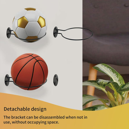 Sexoeie (2) Wall Mount Round Holder - Hanging Planter for Indoor Plants & Display Stand for Basketball Football Sports
