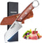 Huusk Japan Small Meat Knife, Portable Kitchen Knives for Steak, Fruit, Carbon Steel Boning Knife, Vegetable Knife with