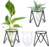 3 Bulb Jspupifip Pcs Glass Plant Terrarium with Metal Stand, Air Plants Holders Hydroponic Plant Vases Desktop Glass