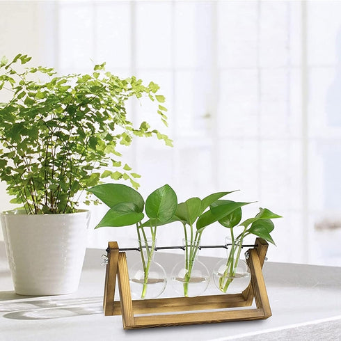 3 Bulb Kingbuy Desktop Glass Planter Iron and Wooden Stand Plant Terrariums for Indoor Office Desk Decor Accessories