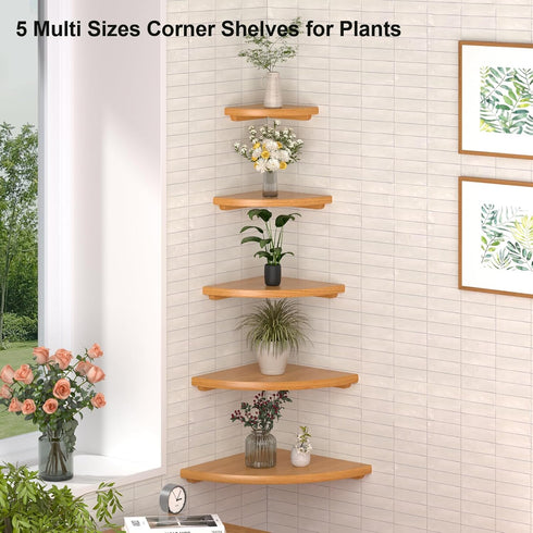 Set 2 9inch Gieanoo Floating Corner Shelves for Wall Solid Oak Rounded Corner Shelves Wall Mounted with Cable Hole Wood