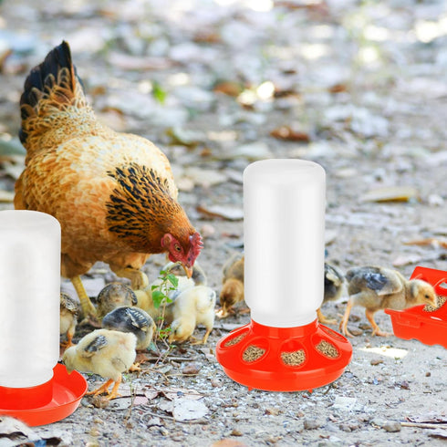 5 Pack Set TINSKY Chick Feeder and Waterer Plastic Baby Chicken Brooder Starter Kit with Chick Perch for Small Poultry