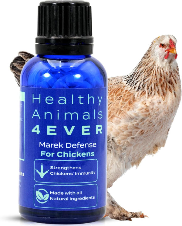 HA4E - Chicken Support for Mareks Disease - Natural Support & Immune