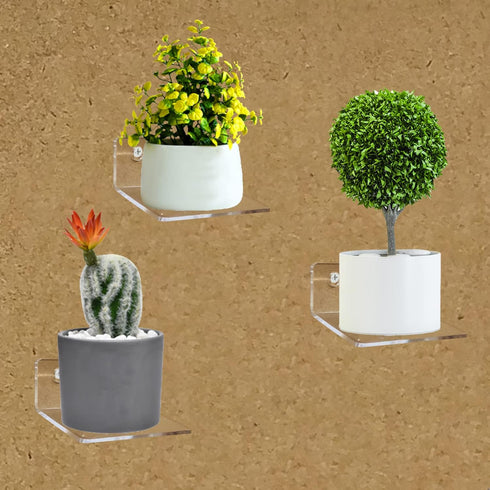 Bigfety Acrylic Small Floating Shelves for Wall, 3-Ledges Clear Mini Display Floating Shelf with Adhesive or Screw