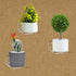 Bigfety Acrylic Small Floating Shelves for Wall, 3-Ledges Clear Mini Display Floating Shelf with Adhesive or Screw