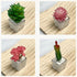 Plant Magnets for Fridge, Succulent Artificial Plants Refrigerator Magnets, Funny 3D Resin Decorative Set of 4