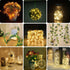 Kangheshun Light,2 Pack Decoration(5m/16ft Timer Led String Mini Battery Powered Silver Wire Starry Fairy
