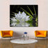Canvas Wall Art - White Lotus and Black Zen Stones Picture, Modern Wall Decor, 12" x 16"