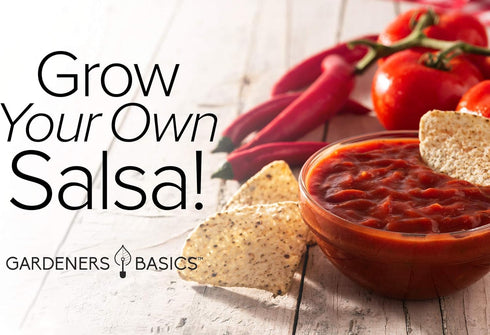 Packets, 5 Gardeners Basics, Heirloom Salsa Growing Seed Roma VF Tomato, Jalapeno, Cilantro, Anaheim and Onion Seeds