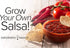 Packets, 5 Gardeners Basics, Heirloom Salsa Growing Seed Roma VF Tomato, Jalapeno, Cilantro, Anaheim and Onion Seeds