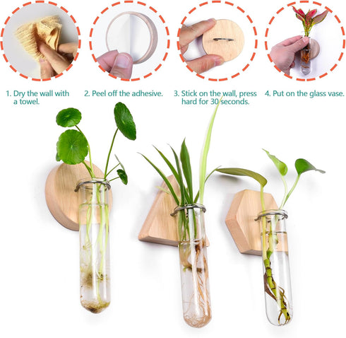 6-Pack Geometric Glass Plant Propagation Station with Wooden Stand