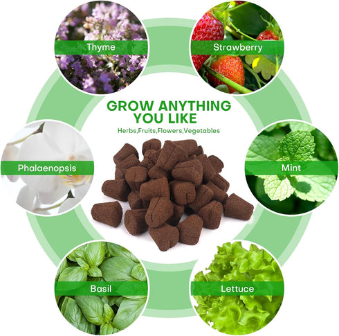 LAPOND 40 Pcs Grow Sponges with Tray, Starter Plugs for Cuttings, Great for Soil, Tray or Planting Pods Plant Rooter