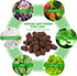 LAPOND 40 Pcs Grow Sponges with Tray, Starter Plugs for Cuttings, Great for Soil, Tray or Planting Pods Plant Rooter