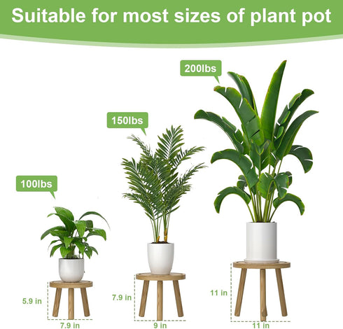 Vecxoty 3-Pack 6-12 Inch Wood Plant Stands Indoor, Single Plant Stand for Pots, Mid-Century Modern Plant Stool, Tall