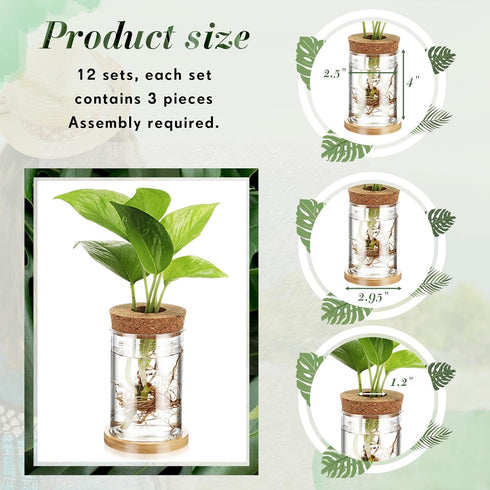 12 Packs Baderke Propagation Vases for Plants Plastic Plant Propagation with Hole Lid and Bamboo Stand Growing in Water