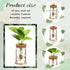 12 Packs Baderke Propagation Vases for Plants Plastic Plant Propagation with Hole Lid and Bamboo Stand Growing in Water