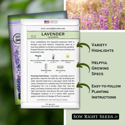 Packet (1) Sow Right Seeds - English Lavender Seeds for Planting - Non-GMO Heirloom with Instructions to Grow Beautiful