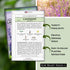 Packet (1) Sow Right Seeds - English Lavender Seeds for Planting - Non-GMO Heirloom with Instructions to Grow Beautiful