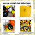 74 Pack 12Inch 5Inch Set Quarantine Balloon Garland & Arch Kit, Black, Orange, Yellow, Silver Latex Balloons Strip