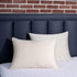 100% Mulberry Silk Pillowcase Set of 2, 19 Momme 600 Thread Count, Hidden Zipper, Soft Breathable (Buff Beige, King)