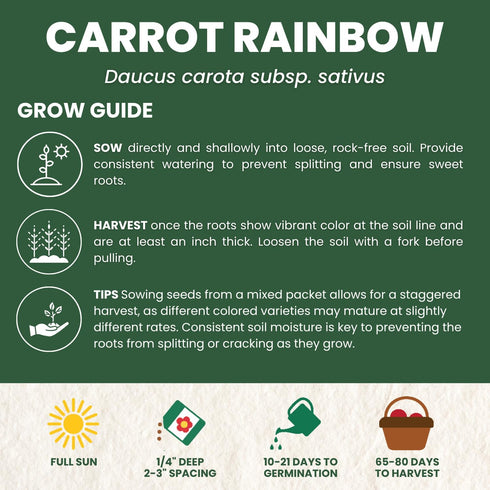 4,500 2026 5 Carrot Rainbow Mix Premium Heirloom Seeds for Planting Colorful, Sweet Root Blend for Garden & Kitchen